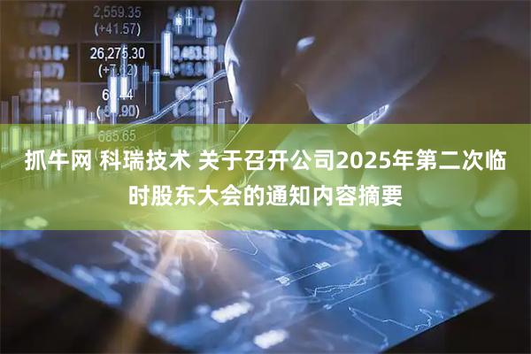 抓牛网 科瑞技术 关于召开公司2025年第二次临时股东大会的通知内容摘要