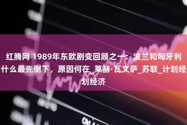 红腾网 1989年东欧剧变回顾之一：波兰和匈牙利为什么最先倒下，原因何在_莱赫·瓦文萨_苏联_计划经济