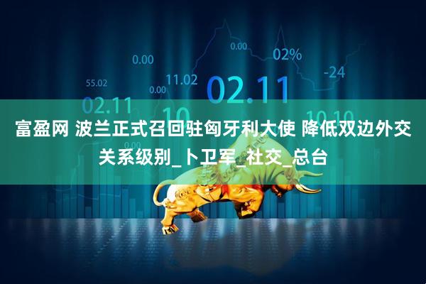 富盈网 波兰正式召回驻匈牙利大使 降低双边外交关系级别_卜卫军_社交_总台