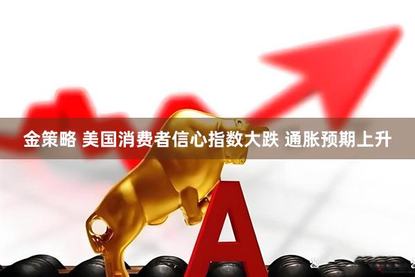 金策略 美国消费者信心指数大跌 通胀预期上升