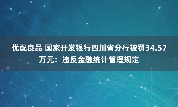 优配良品 国家开发银行四川省分行被罚34.57万元：违反金融统计管理规定