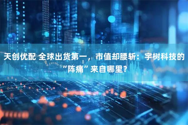 天创优配 全球出货第一，市值却腰斩：宇树科技的“阵痛”来自哪里？